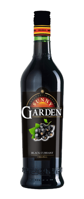 Sunny Garden Black Currant